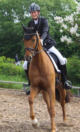 Reiterin mit Pferd im Dressurviereck