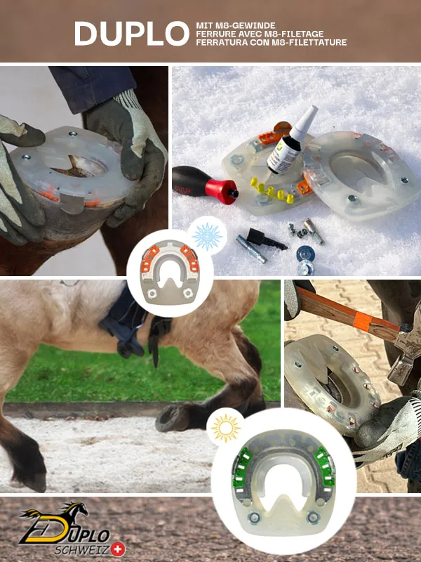 Duplo Verbundhufeisen mit Seitenkappen und M8-Gewinden für Gleitschutzstollen im Sommer- und Wintereinsatz.