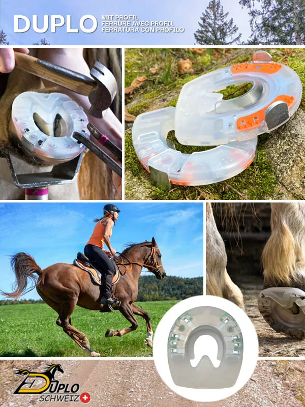 Collage für Verbundhufeisen mit Seitenkappen und Profil - ein stoßdämpfender Hufschutz mit Kunststoffmantel und stabilem Metallkern.