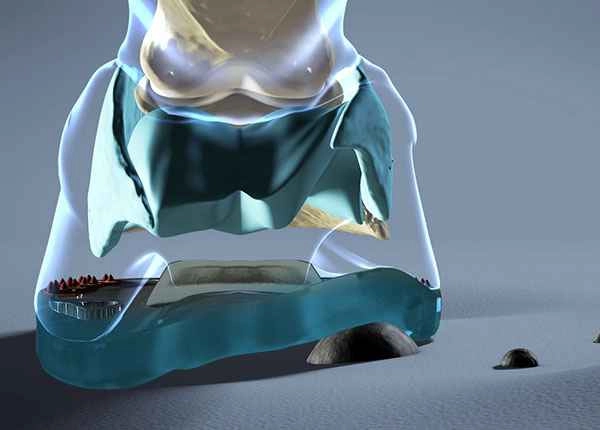 Der mit einem alternativen Verbundhufeisen beschlagene Pferdehuf tritt auf einen Stein. Man sieht, wie der flexible Kunststoffsteg es dem Huf ermöglicht, auf den Stein zu reagieren.