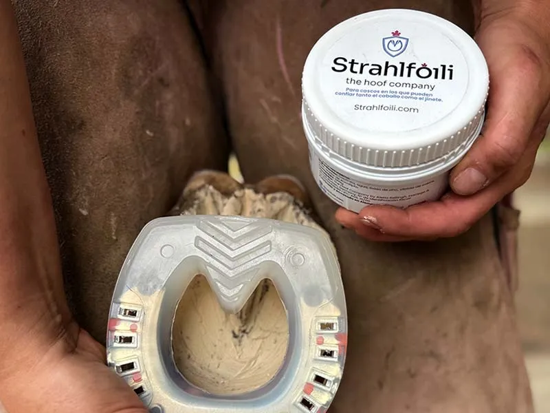 Detailaufnahme eines mit Strahlfoili behandelten Hufes. Die Hufschmiedin hält in einer Hand die Dose Strahlfoili, während sie mit der anderen Hand einen Verbundbeschlag auf den Pferdehuf schiebt. Den Pferdehuf hat sie mit ihren Oberschenkeln fixiert.