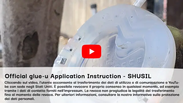 Video: Applicazione del silicone SHUSIL di glue-u