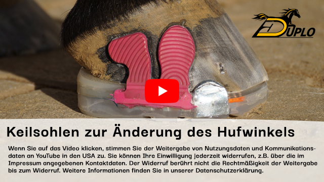 Video: Arbeiten mit Keilen im Hufbeschlag