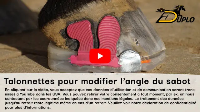 Vidéo: appliquer des talonnettes lors du ferrage