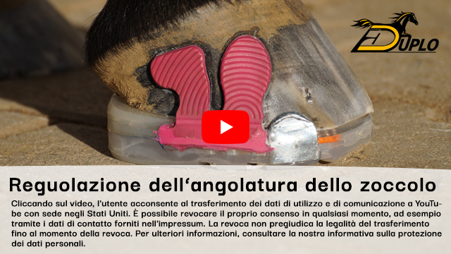 Video: una ferratura a cuneo incollata e inchiodata 