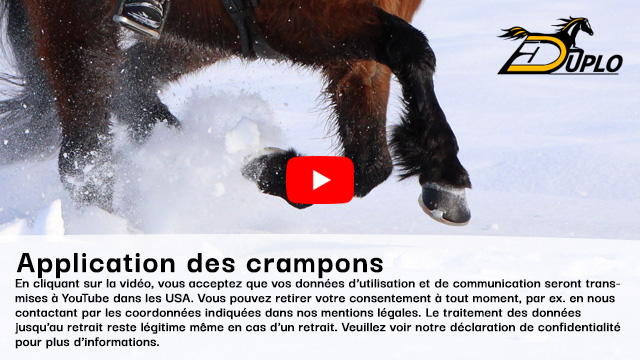 un cheval islandais avec une protection alternative des sabots galope dans la neige profonde