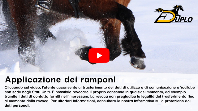 Un cavallo islandese con una protezione alternativa per gli zoccoli galoppa nella neve alta