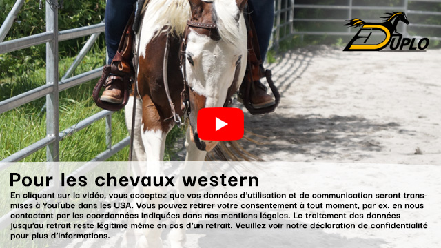 une cavalière sur un paint horse dans un manège d'équitation en été